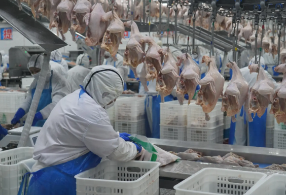 a024de90dee83198510fecd238f625fc a024de90dee83198510fecd238f625fc